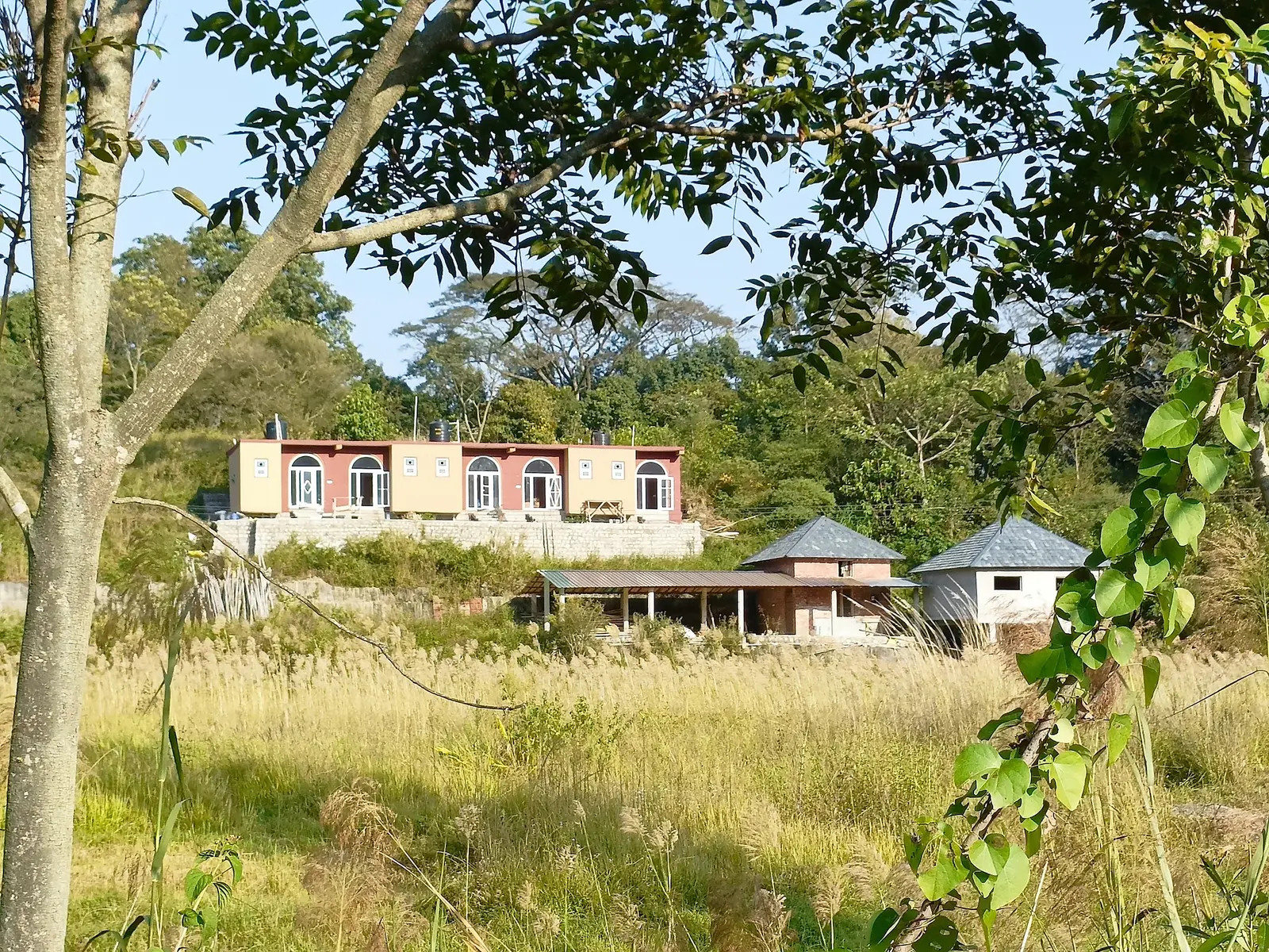 View