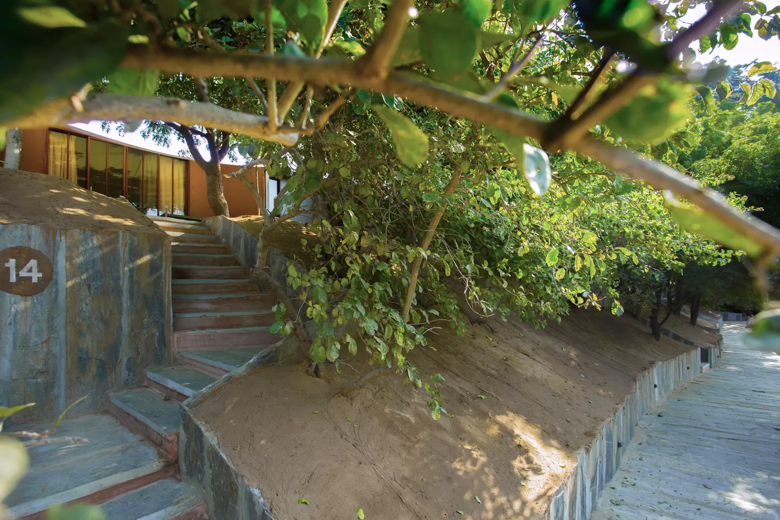 RAAS Chhatrasagar