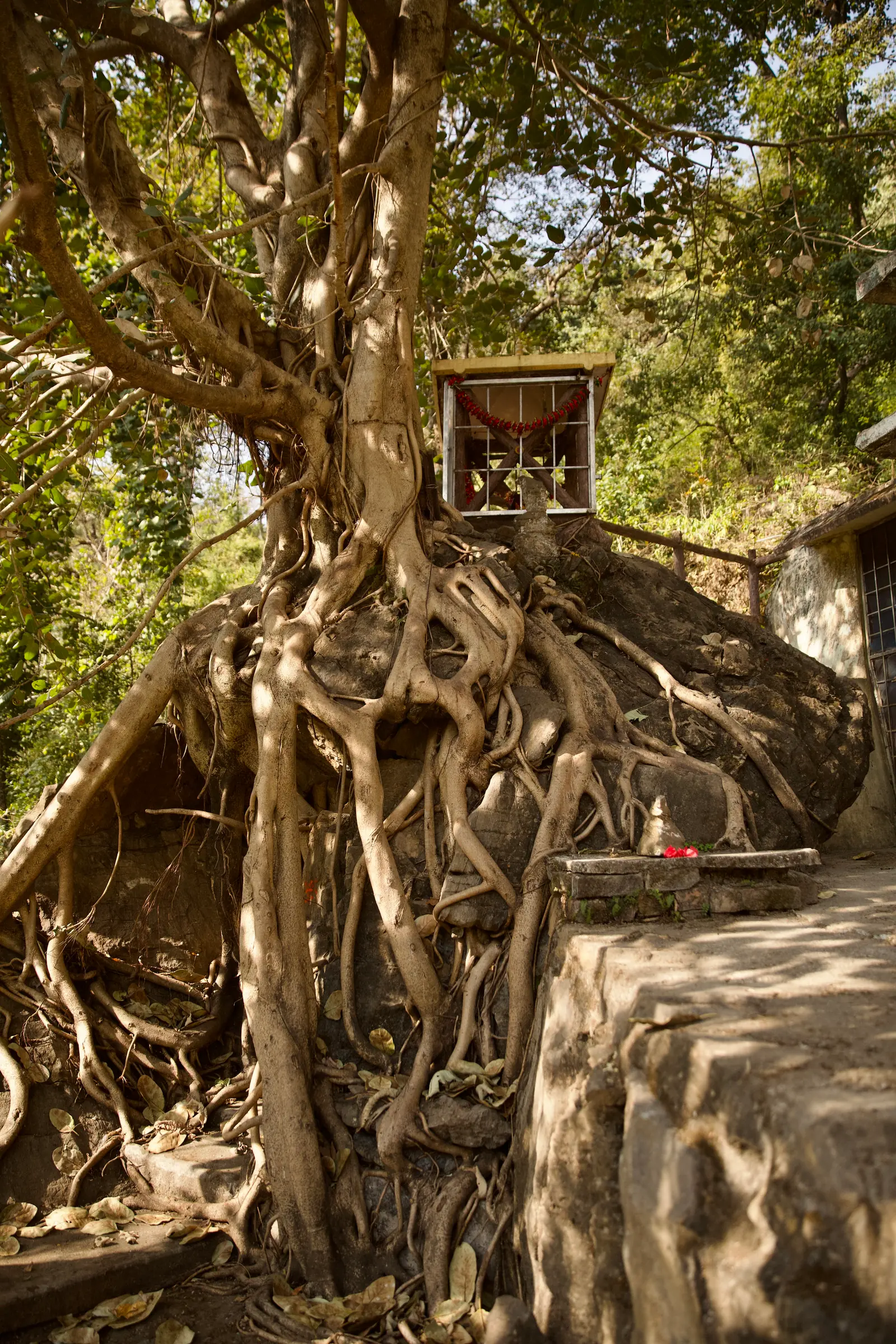 11 Day Silent Meditation and Awakening Retreat in Rishikesh - Main Gallery Image