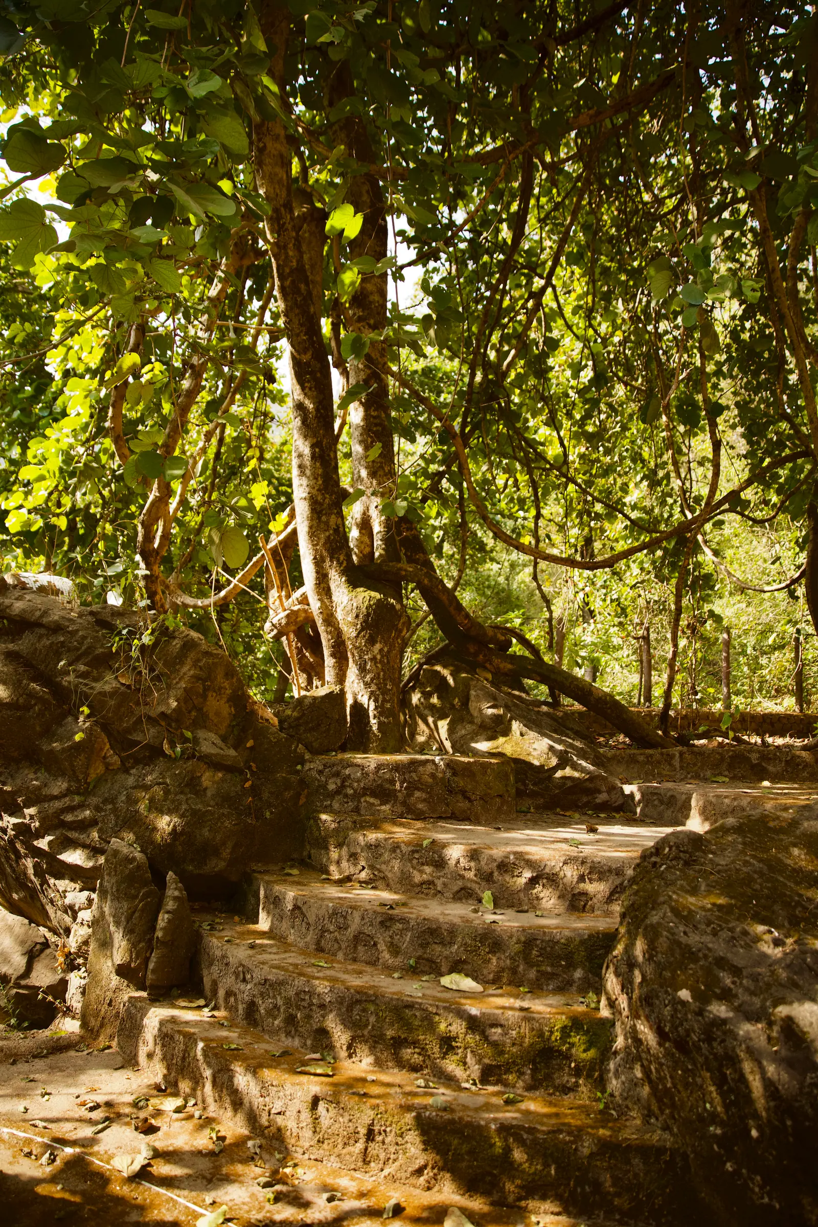 11 Day Silent Meditation and Awakening Retreat in Rishikesh - Main Gallery Image