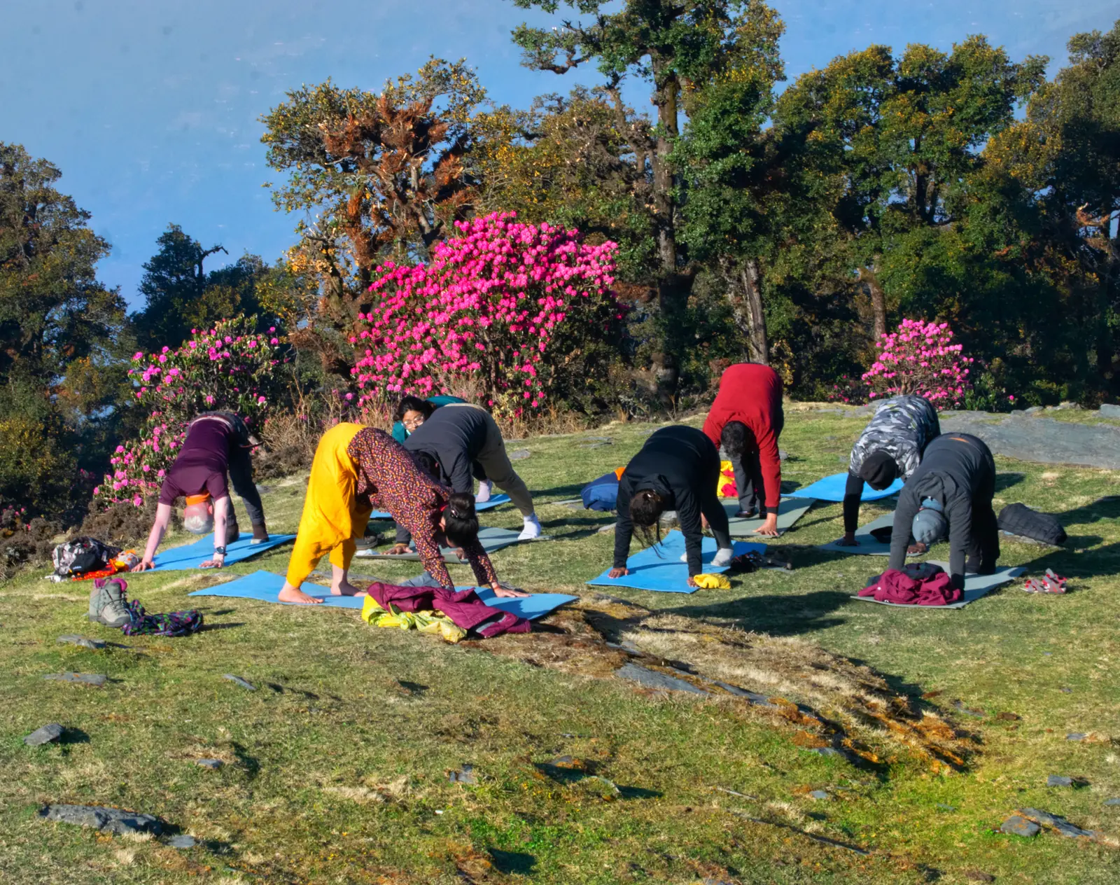10 Day Himalayan Yoga and Meditation Retreat in Manali - Main Gallery Image