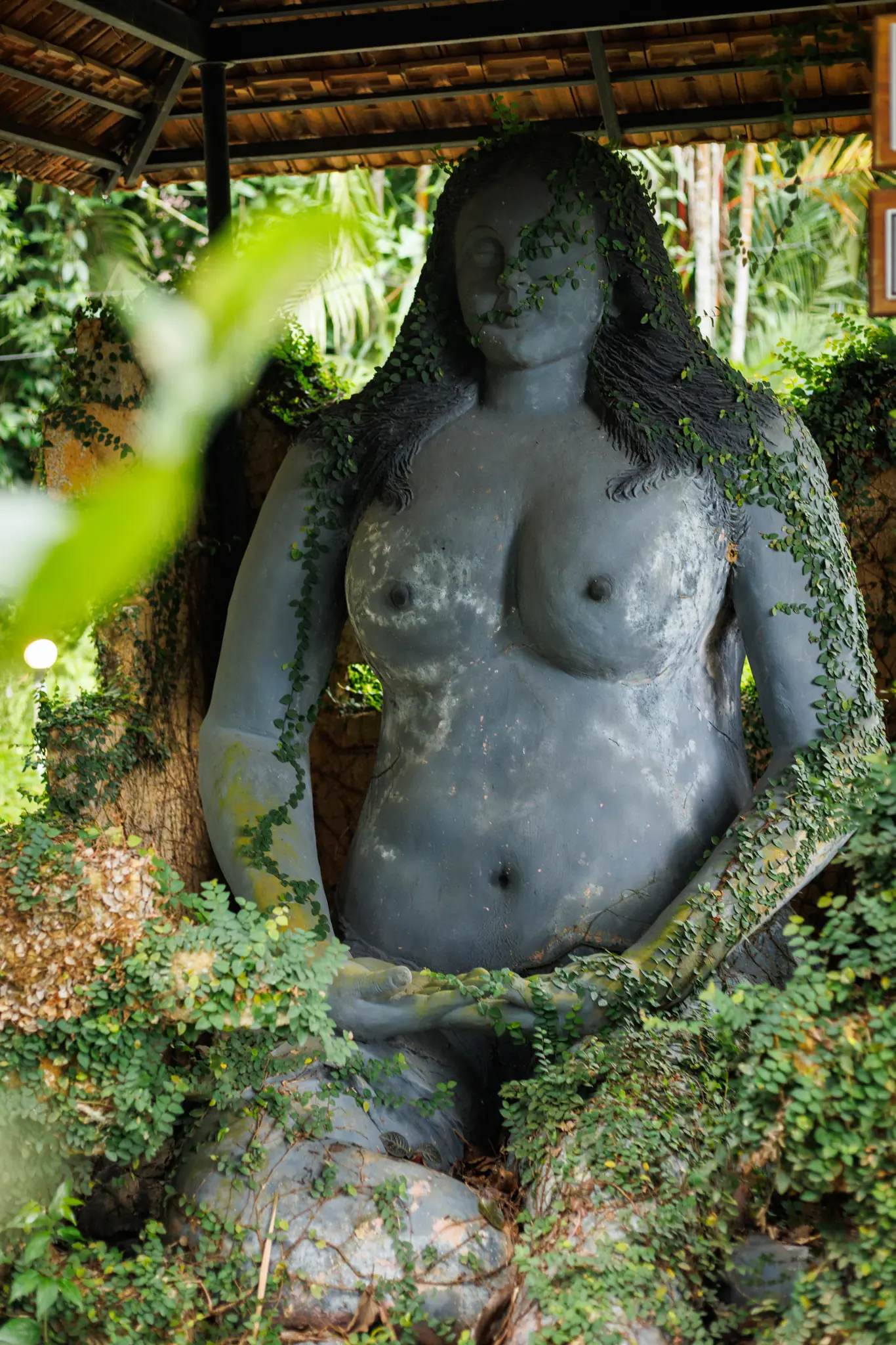 15 Day Women Only Ayurvedic and Hormonal Balance Retreat in Kerala - Main Gallery Image