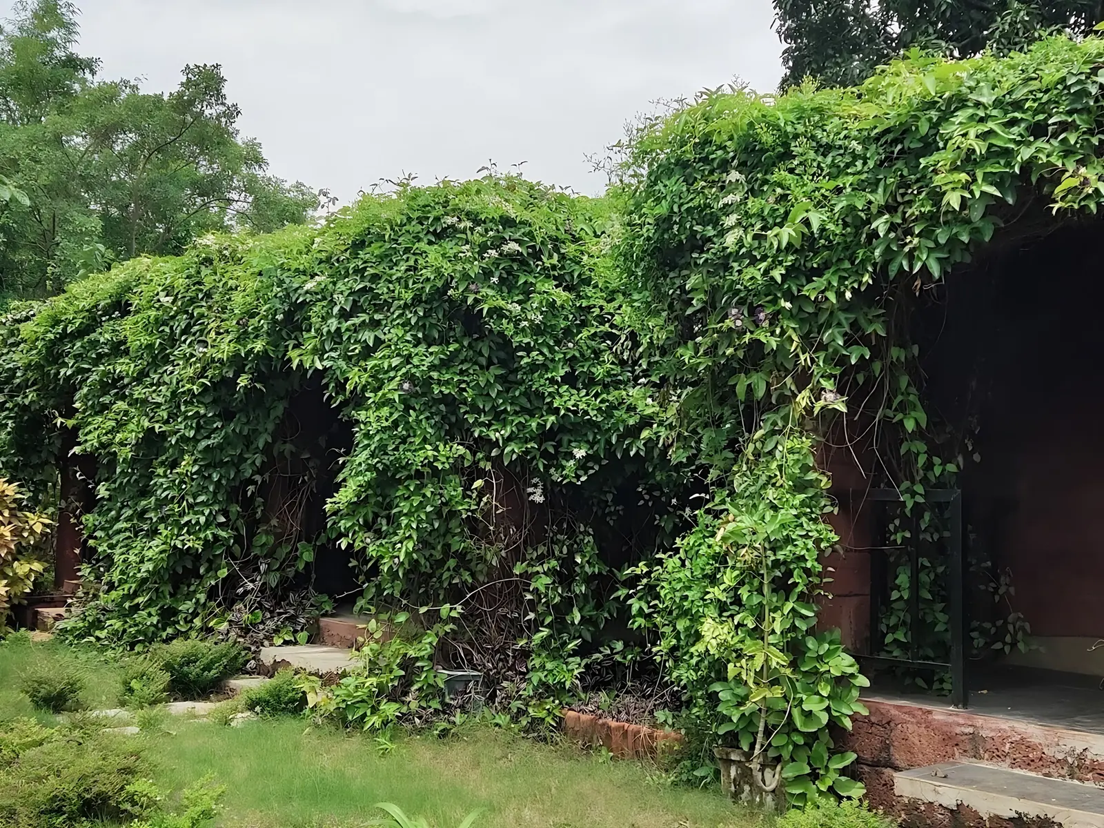 5 Day Guided Forest Meditation Retreat in Maharashtra