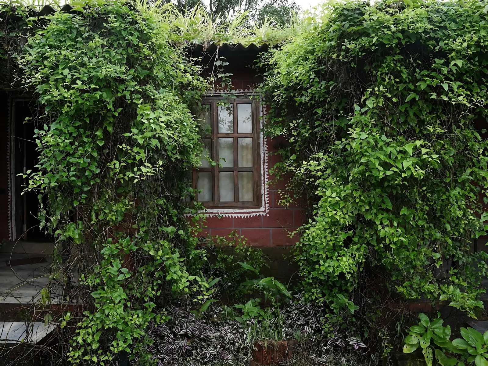 5 Day Guided Forest Meditation Retreat in Maharashtra - Main Gallery Image