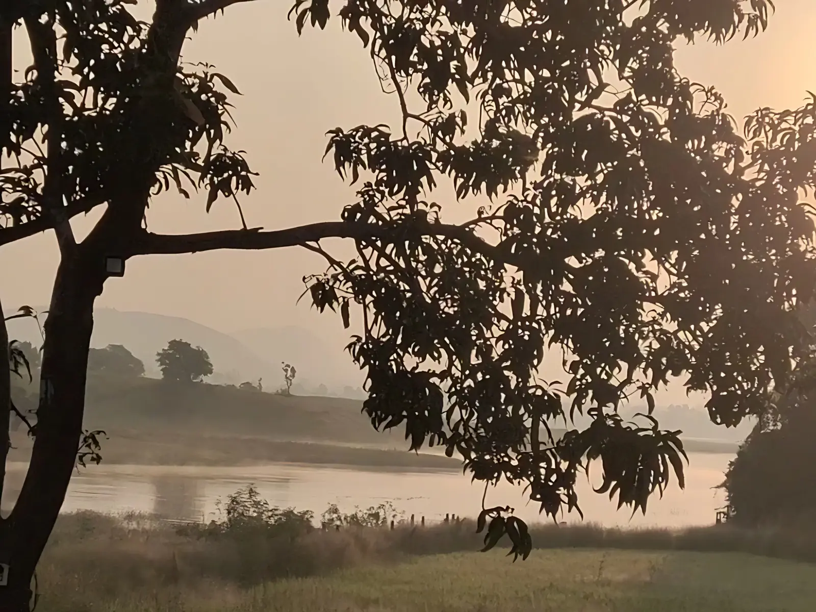 5 Day Guided Forest Meditation Retreat in Maharashtra - Main Gallery Image