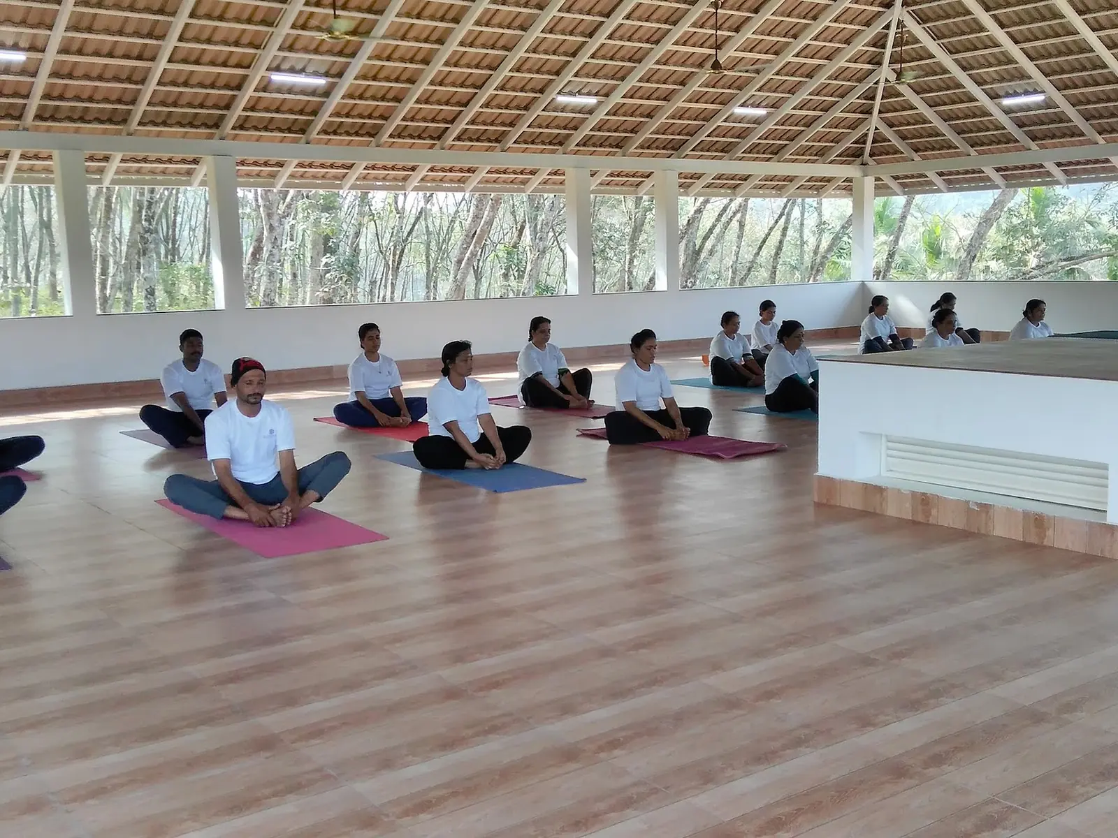 15 Day Marma & Joint Health Retreat for Pain-Free Movement in Kerala - Main Gallery Image