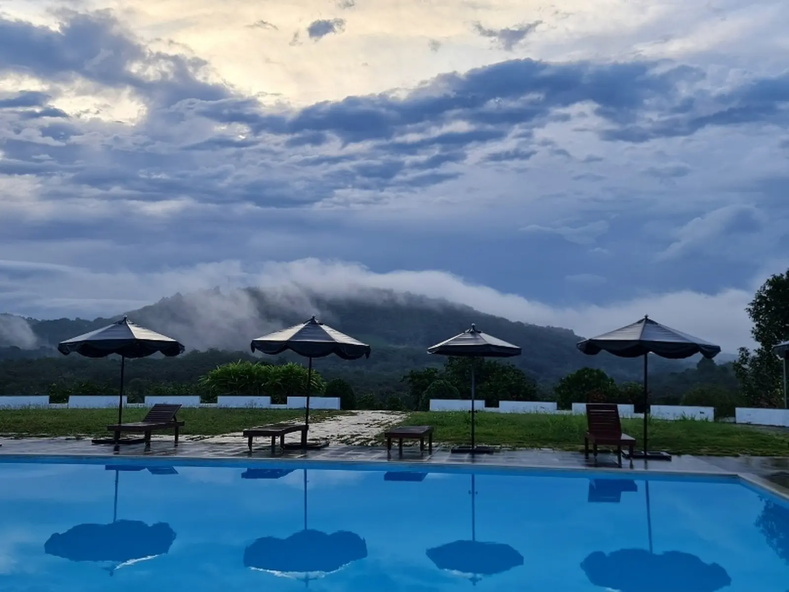 21 Day Ayurveda and Siddha Autoimmune Healing Retreat, Kerala