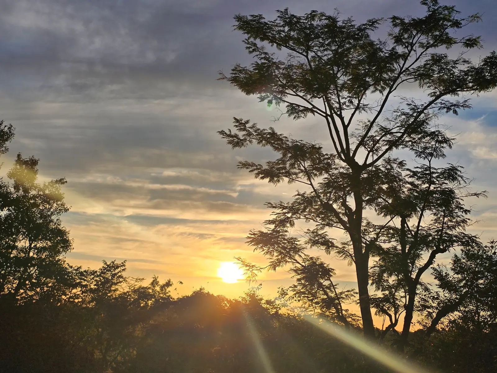 21 Day Ayurvedic Anti-Ageing Rasayana Retreat in Palampur, Dharamshala
