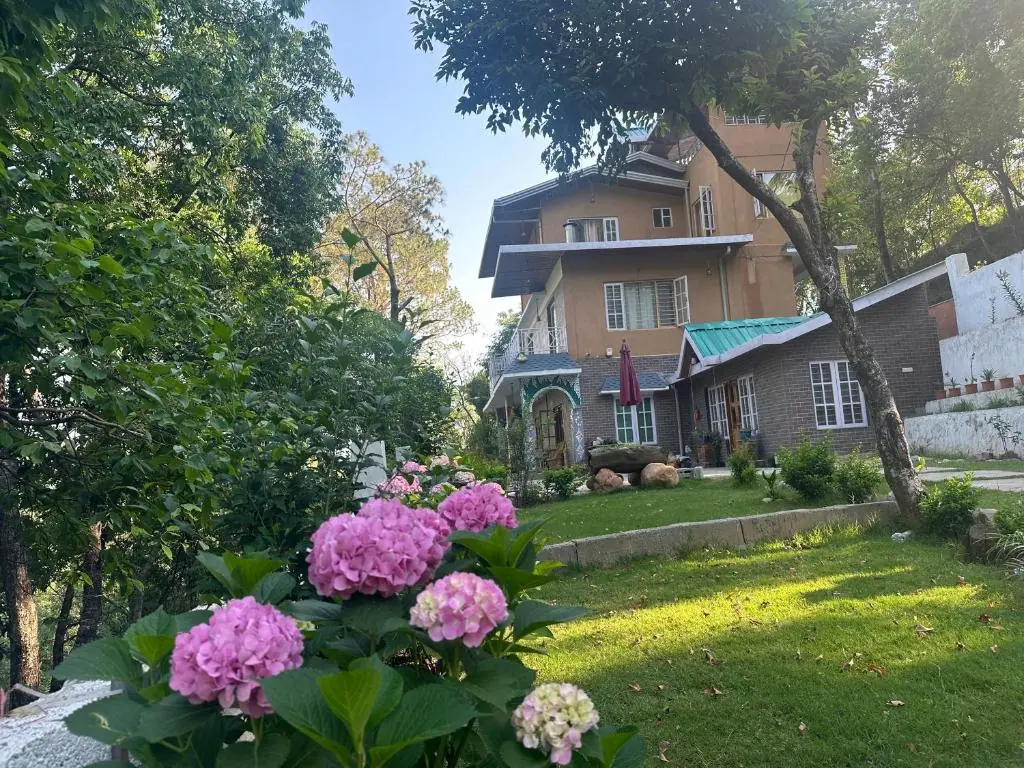 21 Day Self Love and Emotional Healing Retreat in Himachal Pradesh
