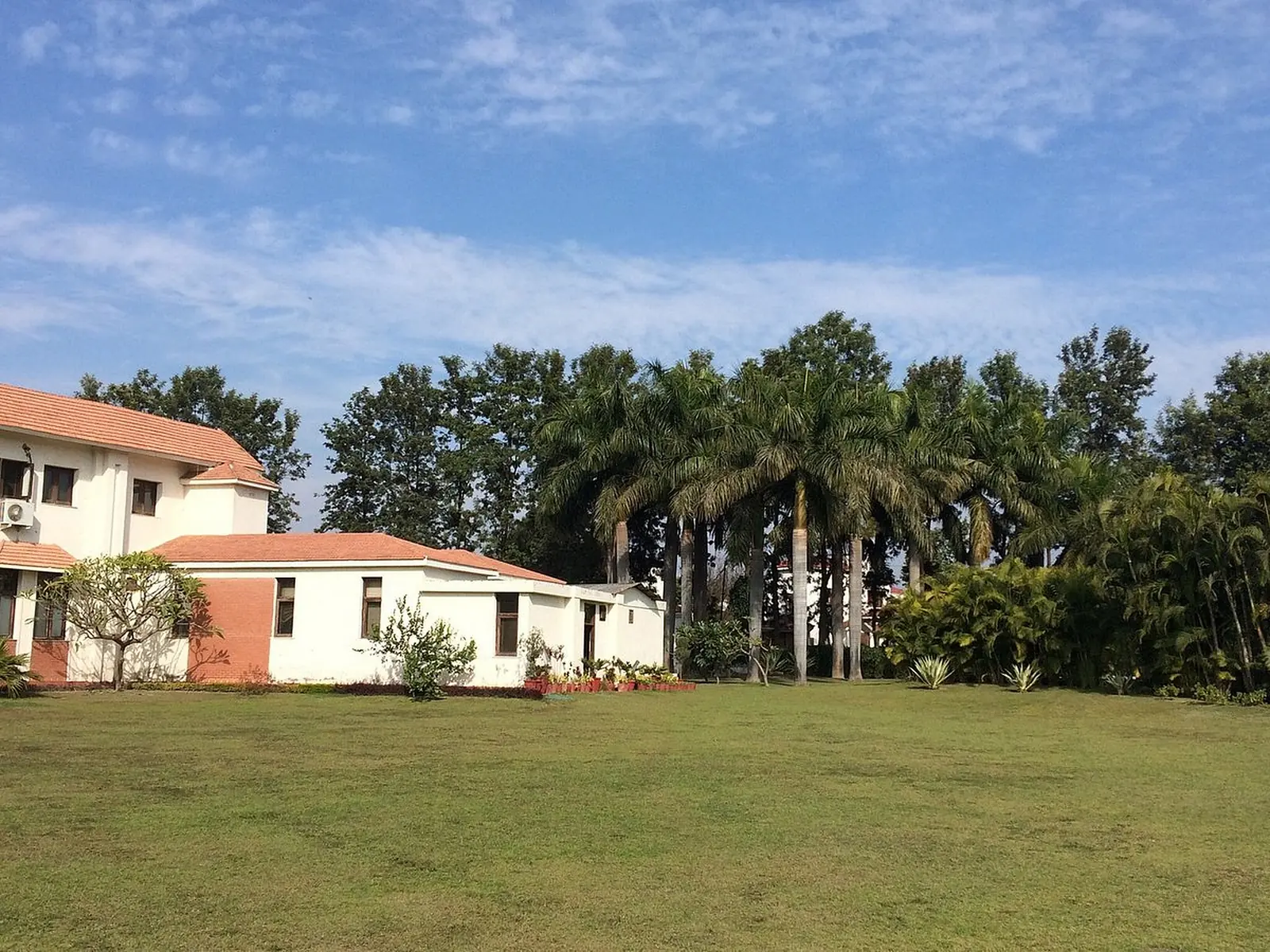 7 Day Ayurvedic Detox Retreat for Body Cleansing in Dehradun - Main Gallery Image