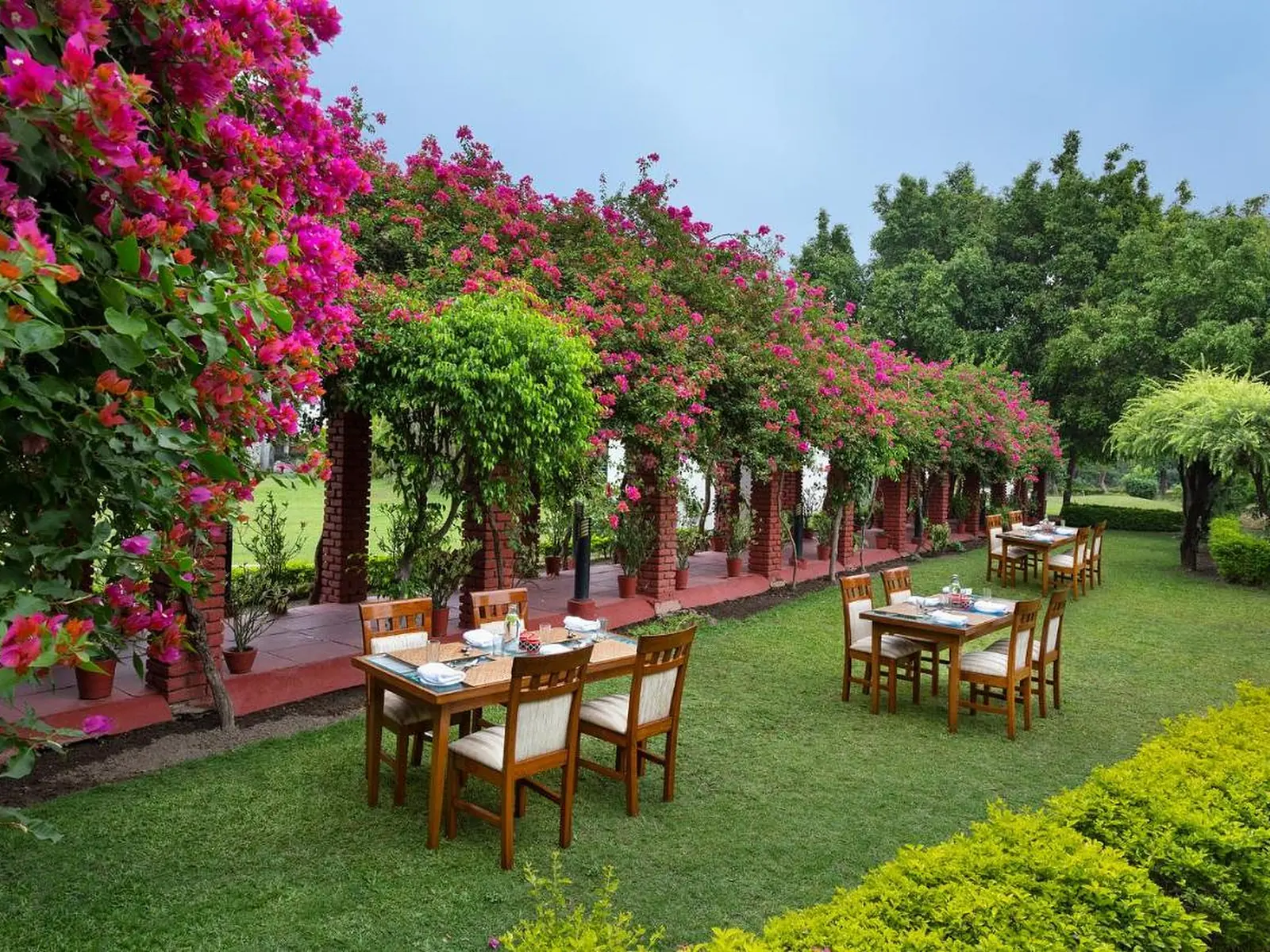 7 Day Ayurvedic Detox Retreat for Body Cleansing in Dehradun - Main Gallery Image