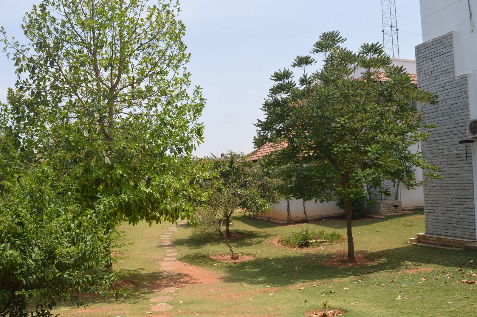 5 Days Ayurvedic Massage and Wellness Assessment Retreat in Bengaluru