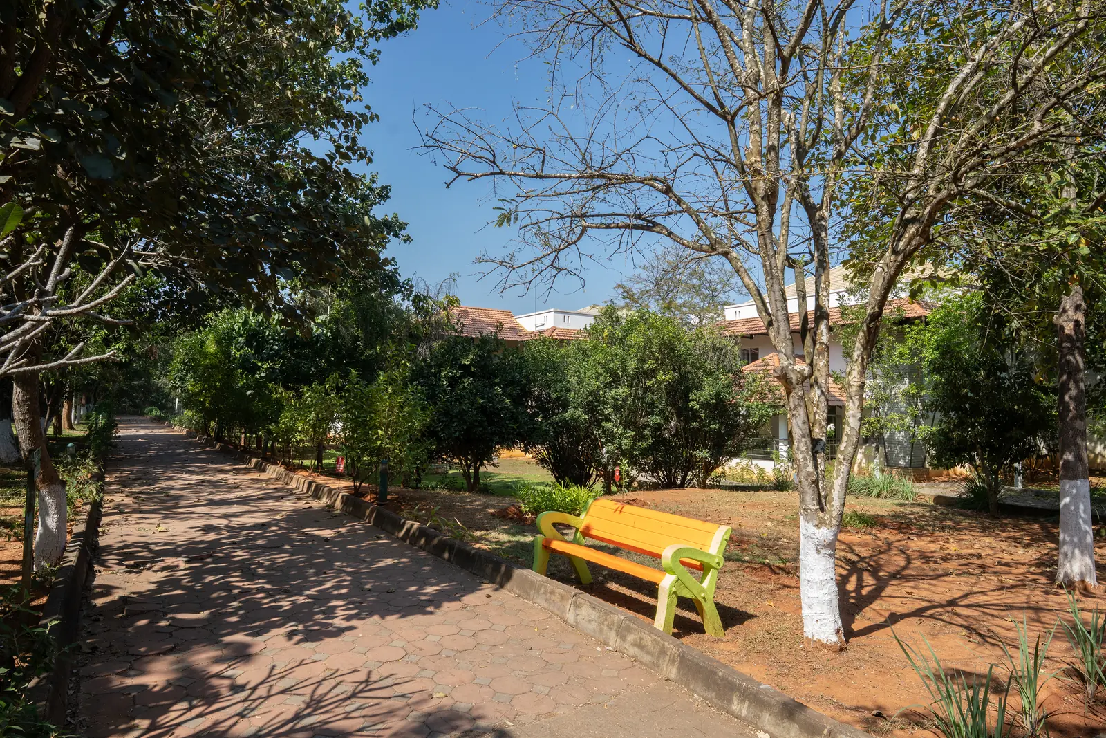 10 Day Ayurveda Rejuvenation Retreat with Navara Kizhi in Bengaluru - Main Gallery Image
