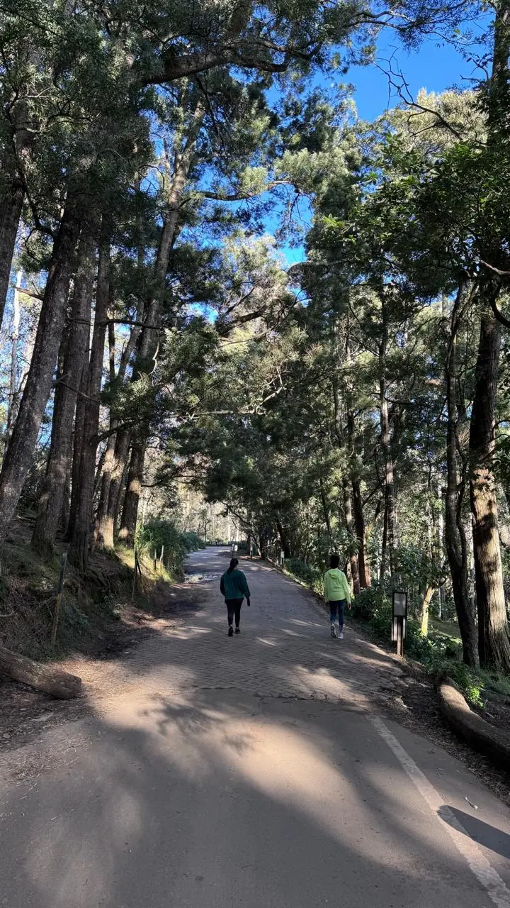28 Day Lifestyle Reboot Fitness and Weight Loss Retreat in Kodaikanal - Main Gallery Image