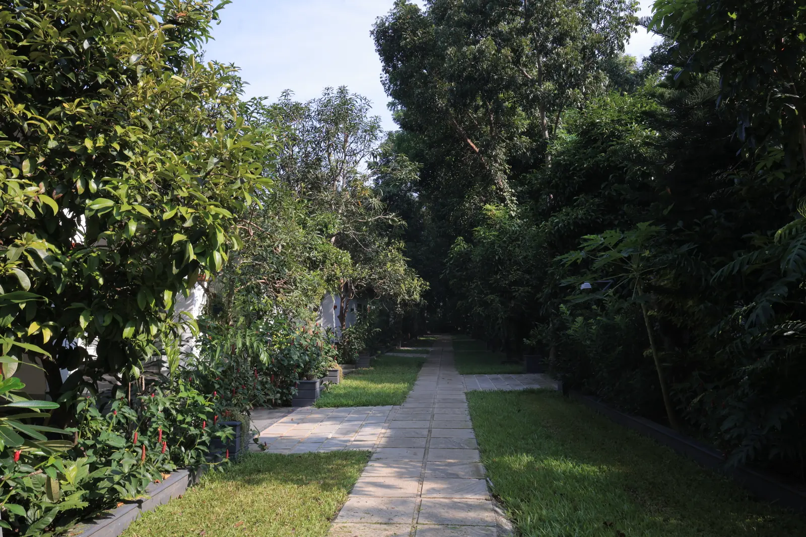 15 Day Panchakarma Detox and Rejuvenation Retreat in Kerala - Main Gallery Image