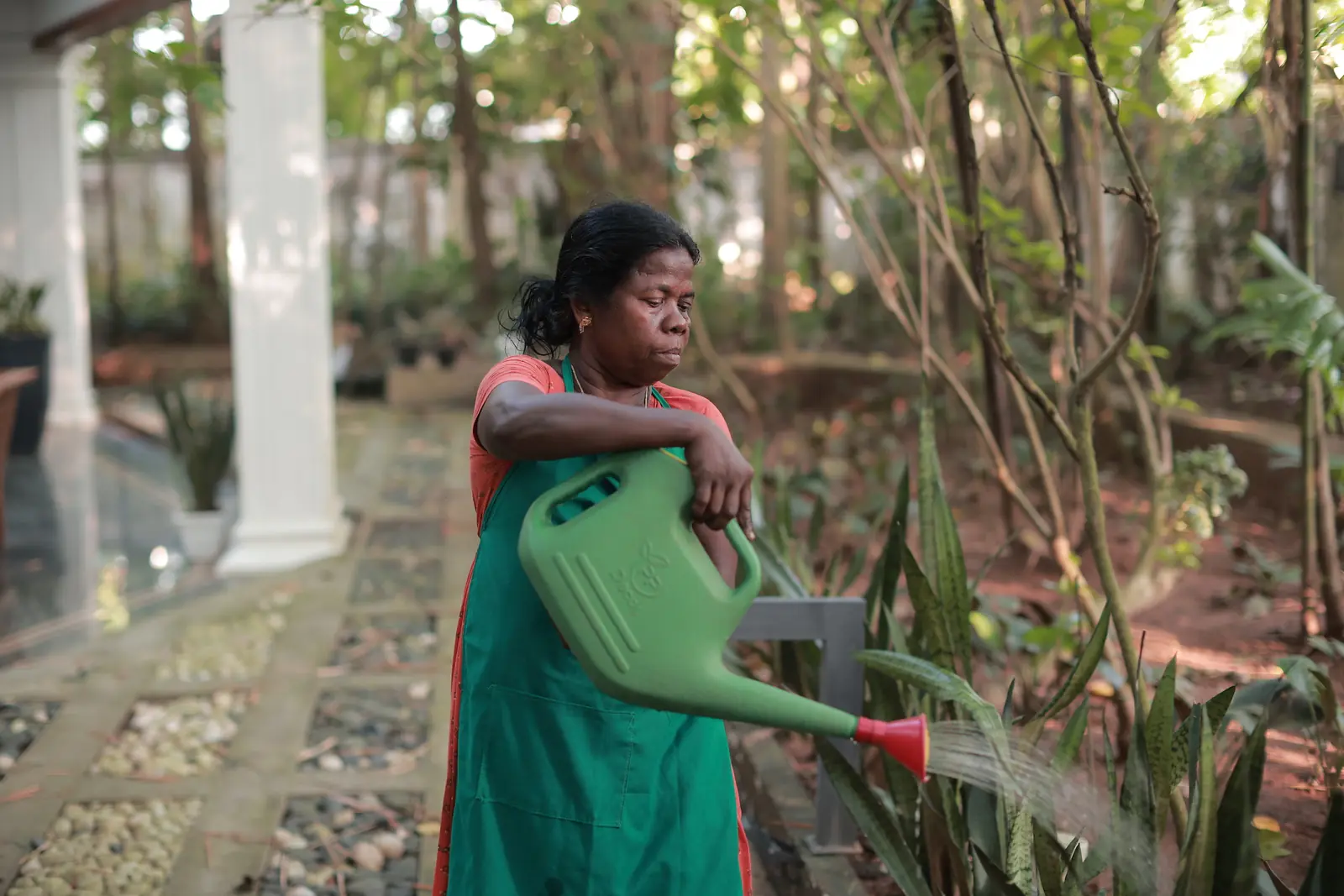 15 Day Ayurvedic Back and Neck Pain Relief Retreat in Kerala - Gallery Image