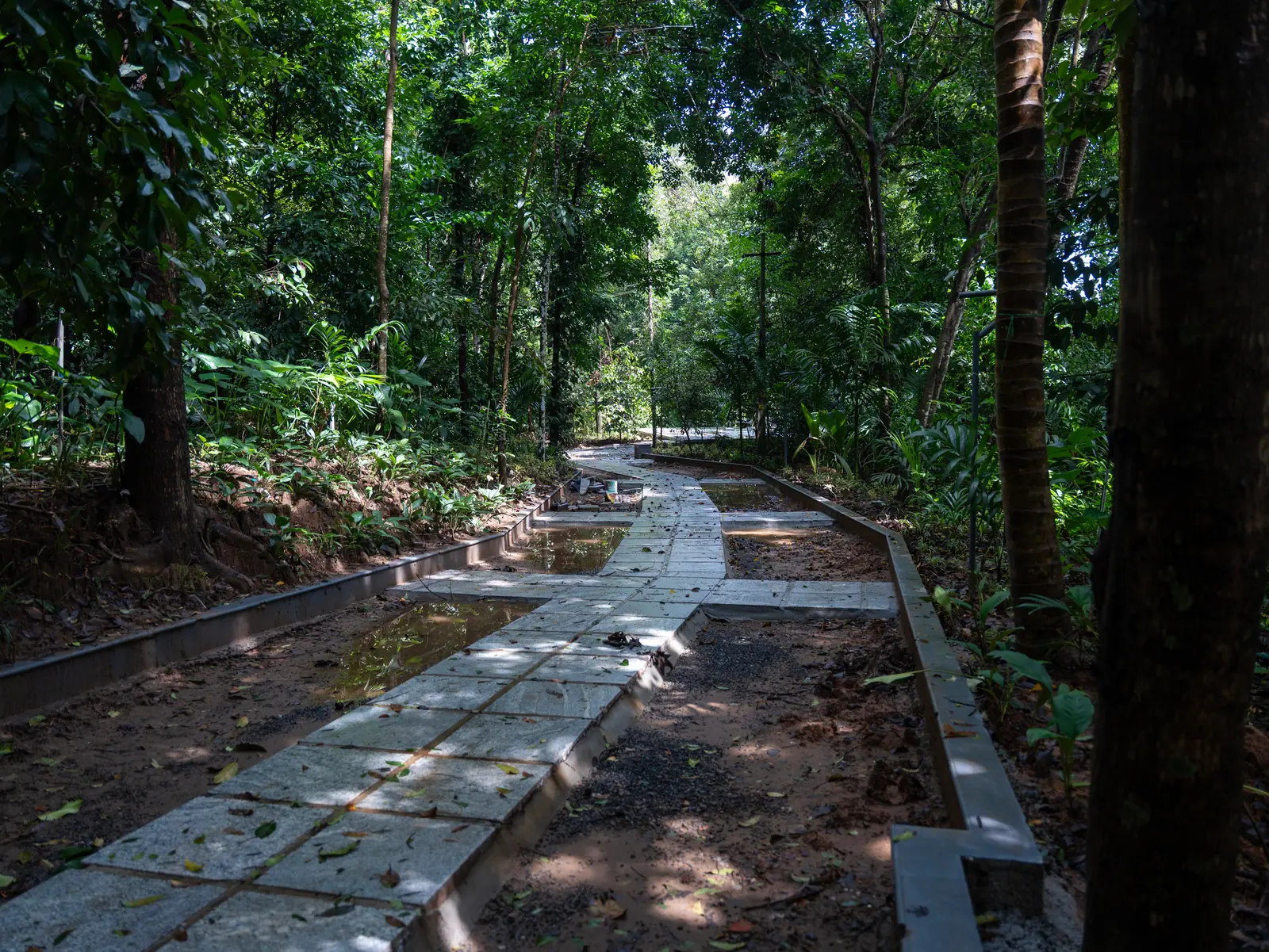 15 Day Ayurvedic Back and Neck Pain Relief Retreat in Kerala