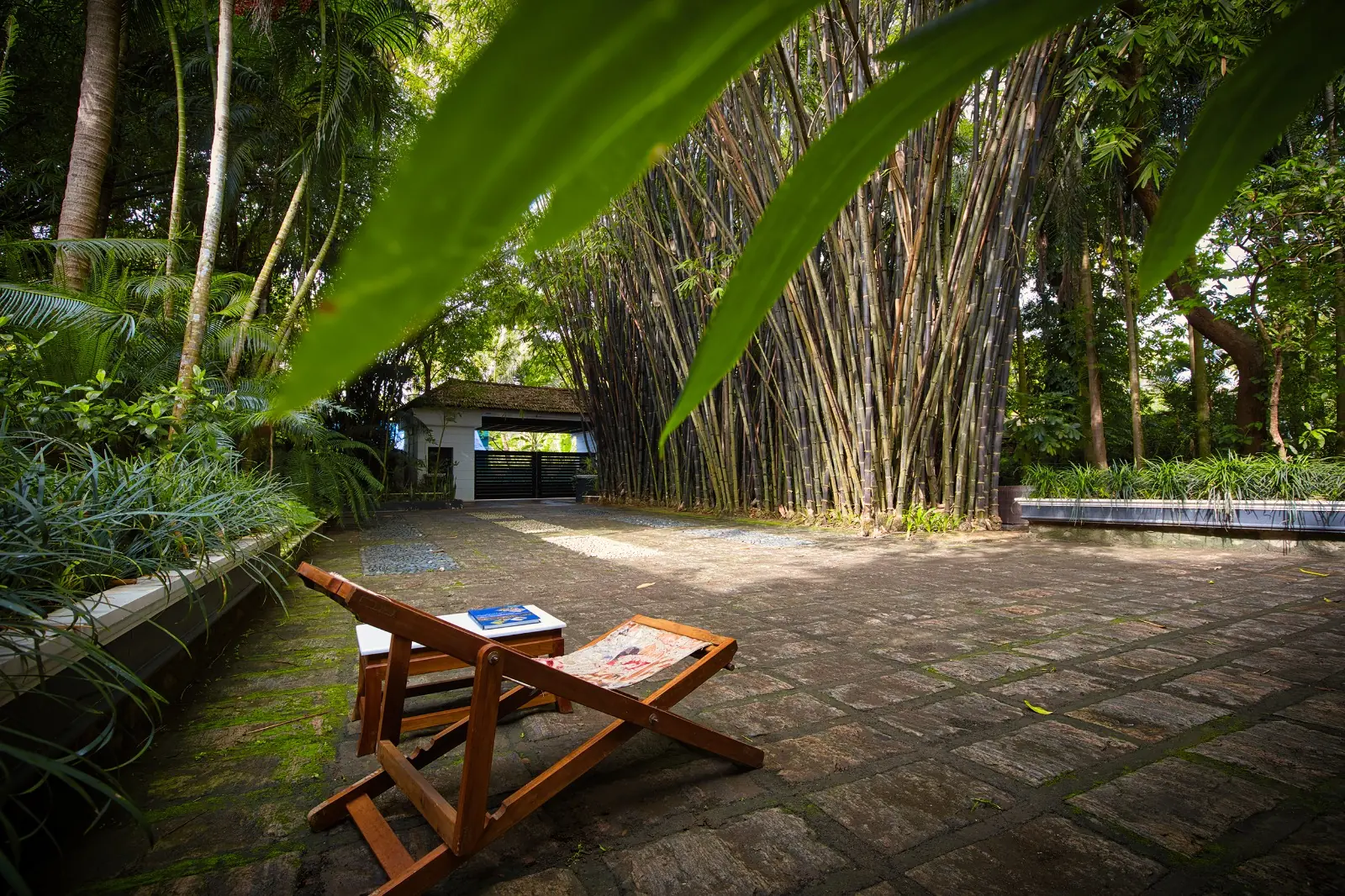 Narrow plunge pool among dense tropical plants at an Ayurveda retreat in Kerala