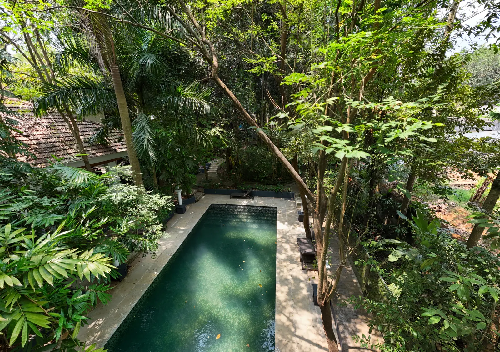 8 Day Ayurvedic Neck, Shoulder and Eye Strain Retreat in Kerala