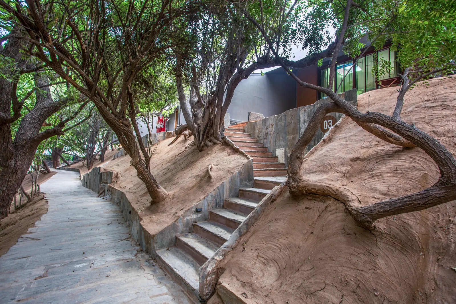 3 Day Luxury Nature Retreat on a 19th Century Lake, Rajasthan, India