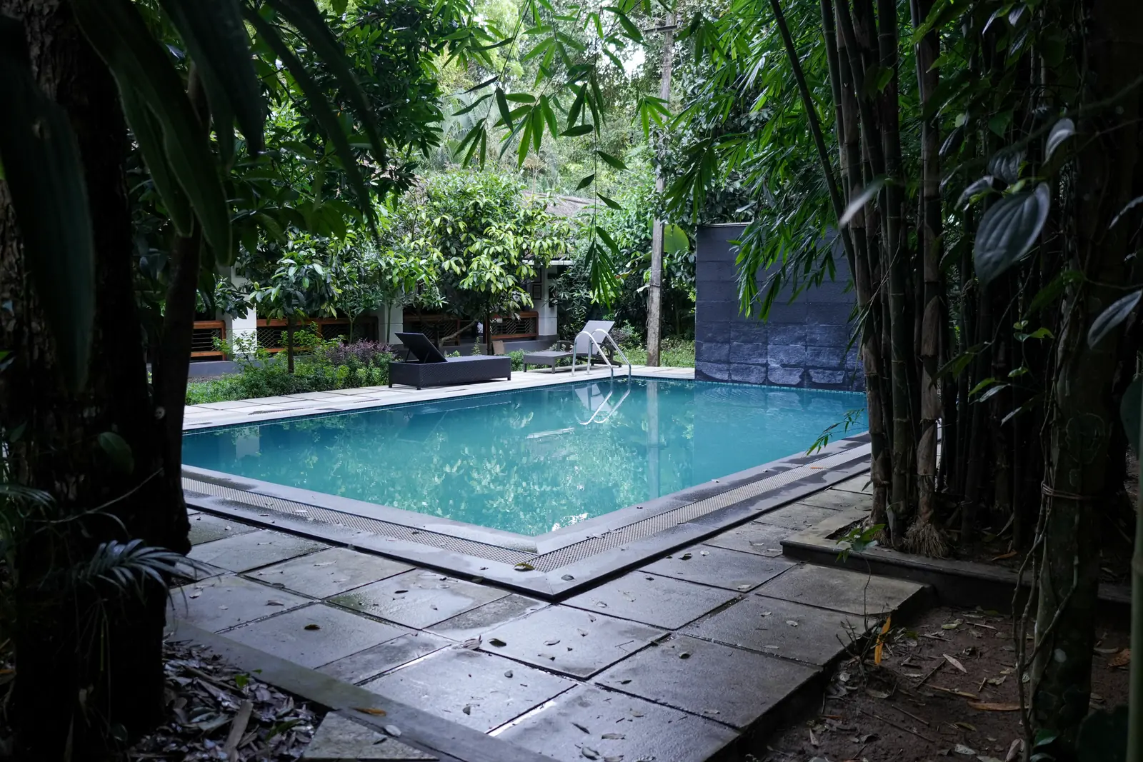 15 Day Ayurvedic Weight Management and Metabolism Retreat in Kerala