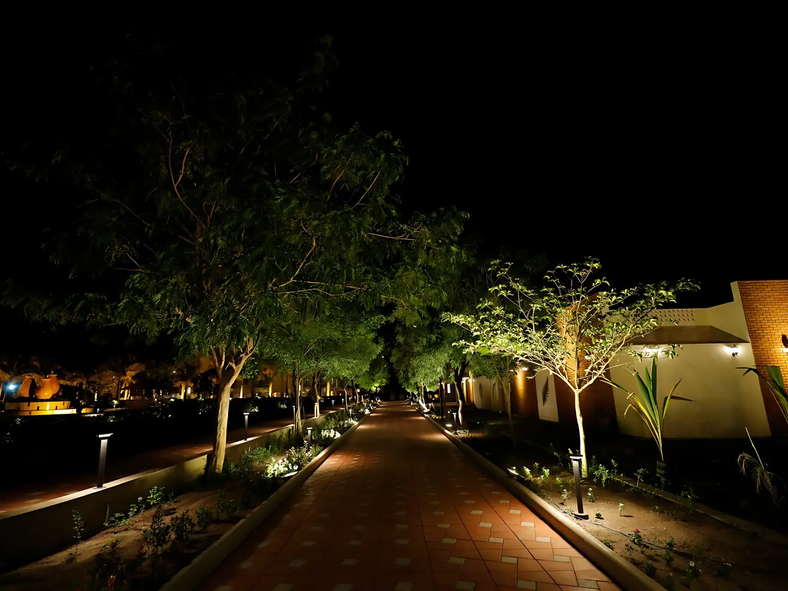 Curved brick path through a garden with palms to a pavilion at a Naturopathy centre in Gujarat