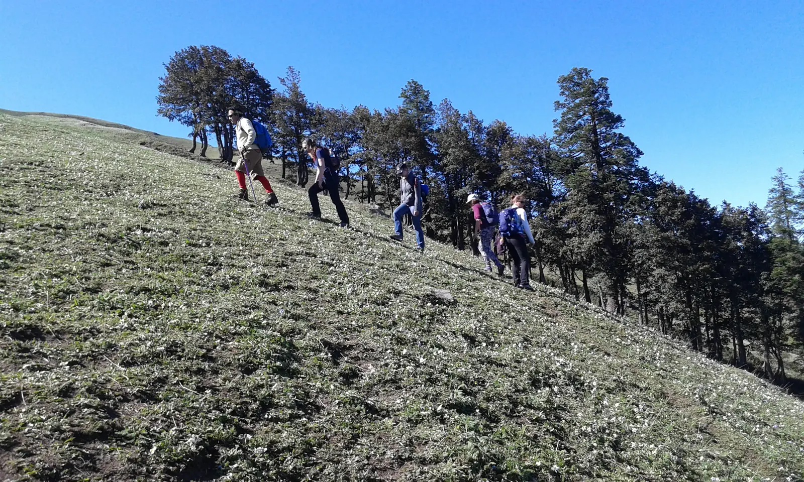 5 Day Himalayan Yoga and Bhrigu Lake Trek Retreat in Manali, India - Gallery Image