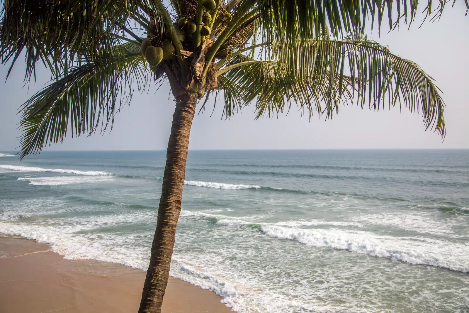 Beach Retreats | Heal at India